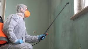 Best Commercial Mold Inspection in Athens, TN